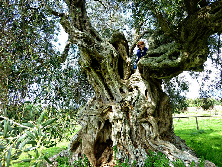 04.2014: Francesca Giona - villamassargia (ca)